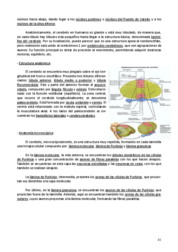 Miniatura del documento Neuro parte 5.pdf