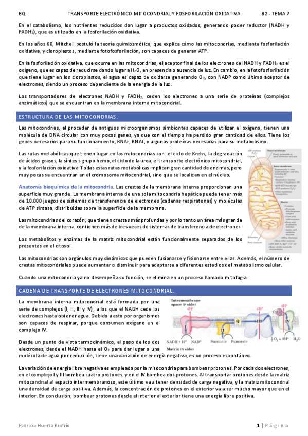 Miniatura del documento T7.pdf