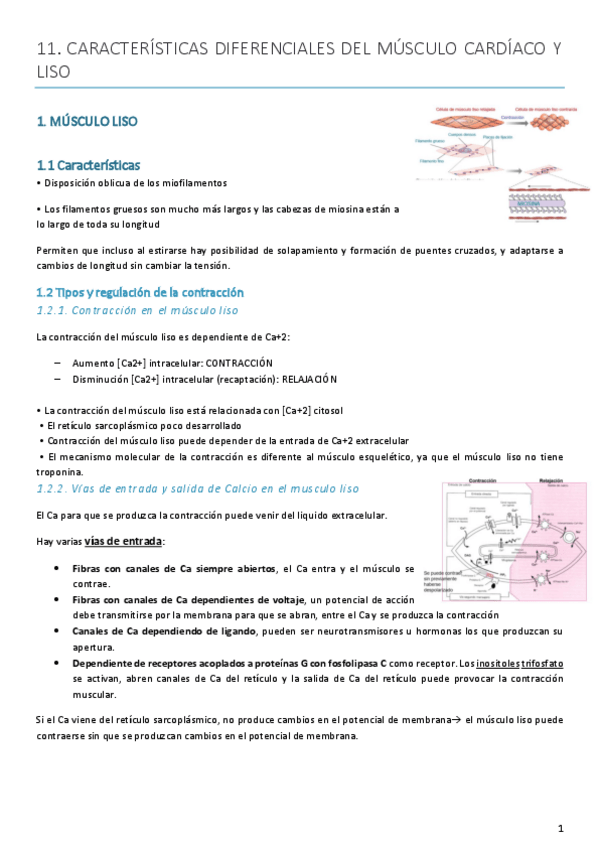 Miniatura del documento Tema-11.pdf