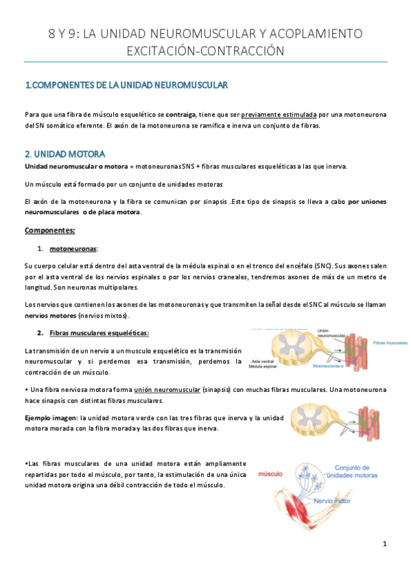 Miniatura del documento Tema-8-Y-9.pdf