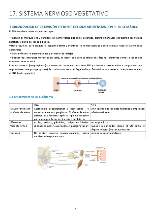 Miniatura del documento Tema-17.pdf