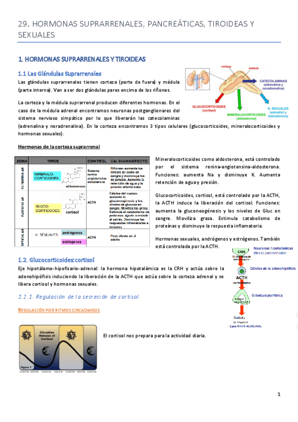 Miniatura del documento Tema-29.pdf