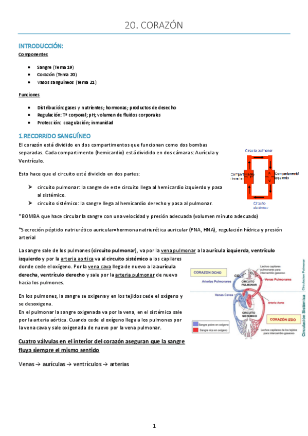 Miniatura del documento Tema-20.pdf