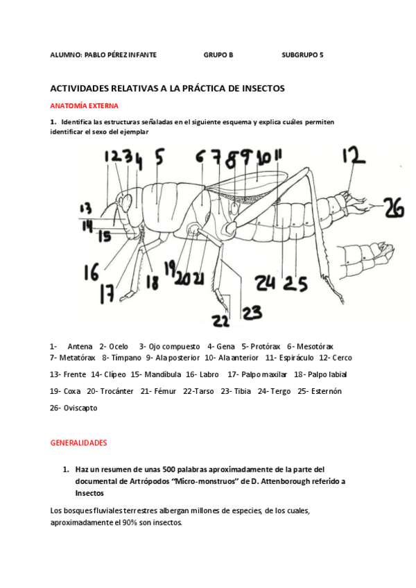 Miniatura del documento Trabajo-Zoo.pdf