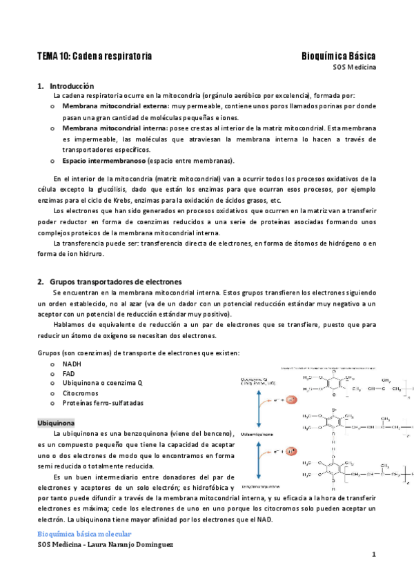 Miniatura del documento tema-10.pdf