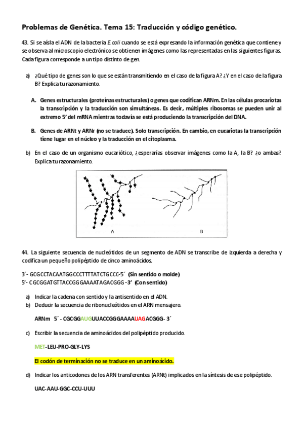 Miniatura del documento Genetica-problemas-tema-15-16.pdf