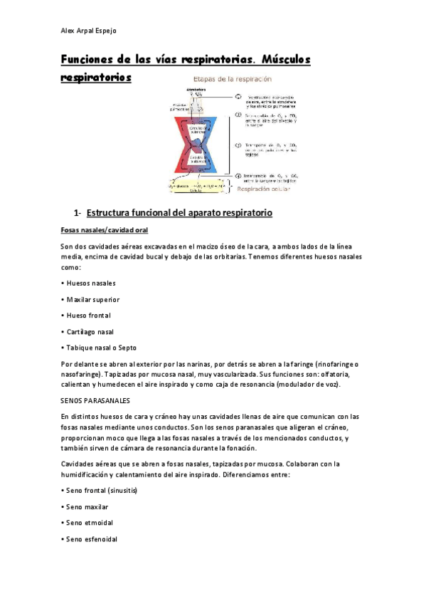 Miniatura del documento respiratorio.pdf
