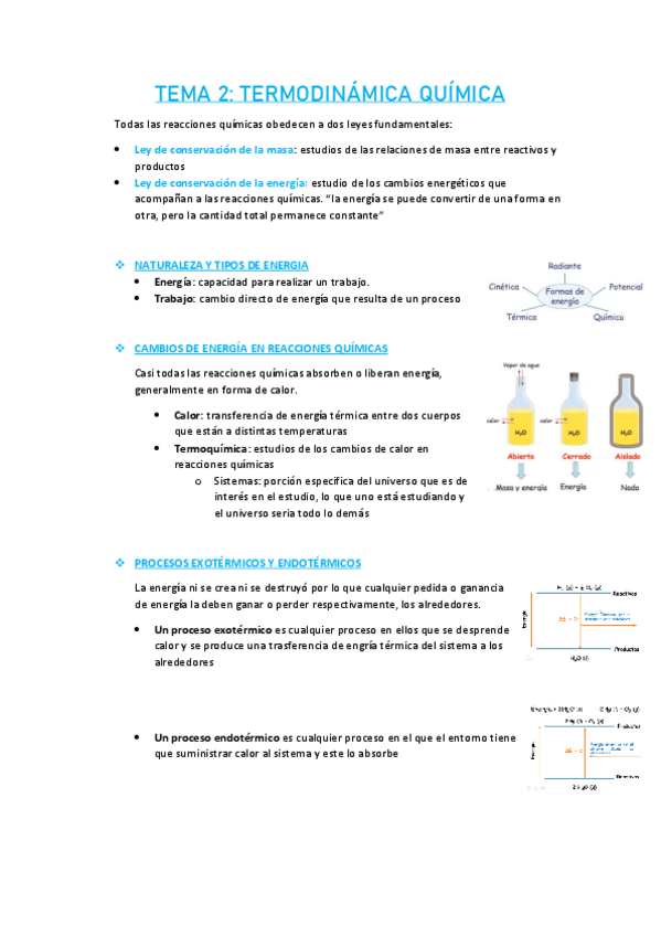 Miniatura del documento TEMA-2.pdf