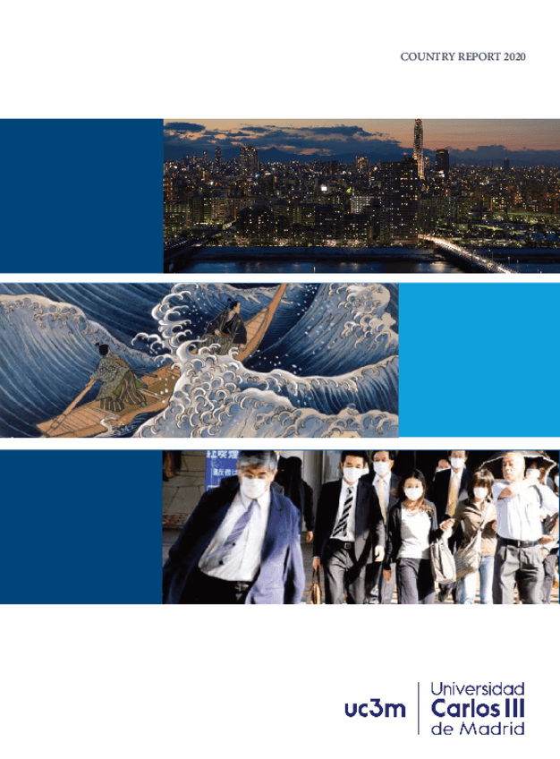 Miniatura del documento Country-Report.pdf