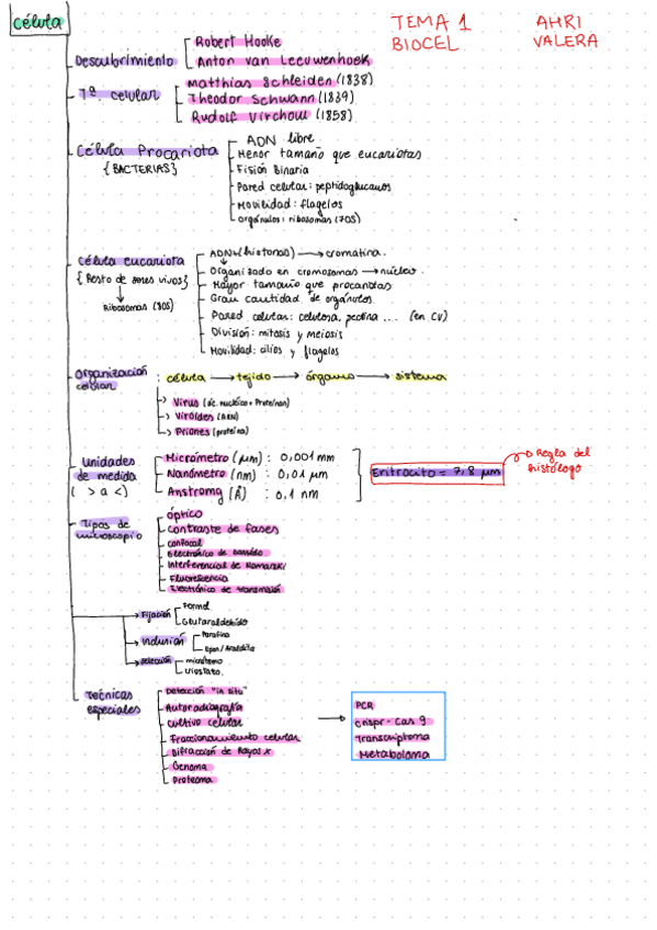 Miniatura del documento celula.pdf