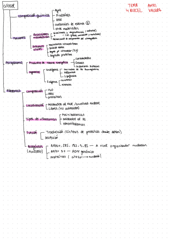 Miniatura del documento citosol.pdf