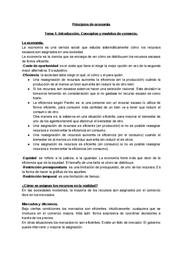 Miniatura del documento Teoria.pdf