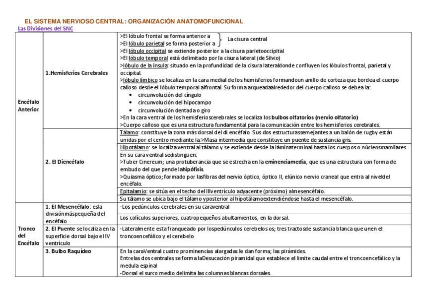 Miniatura del documento Esquema Sistema Nervioso Central.pdf