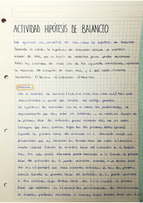 Miniatura del documento actividad-hipotesis-de-balanceo.pdf