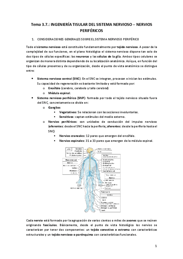 Miniatura del documento Tema-3.pdf