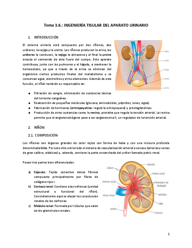 Miniatura del documento Tema-3.pdf