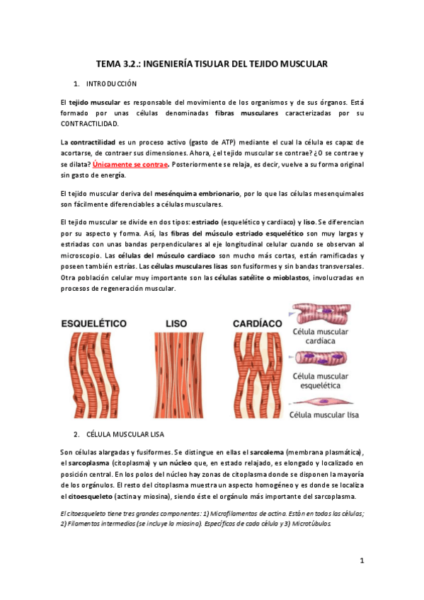 Miniatura del documento Tema-3.pdf