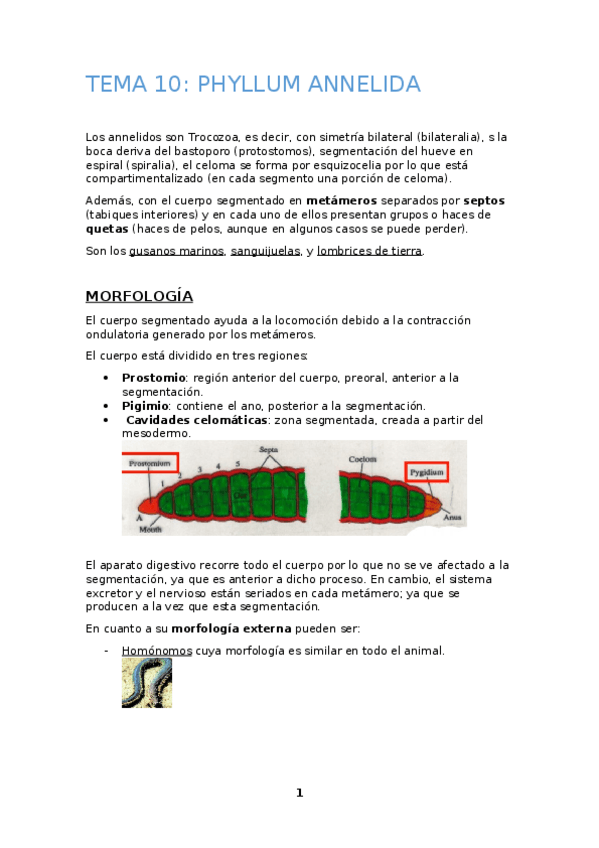 Miniatura del documento TEMA-10.docx