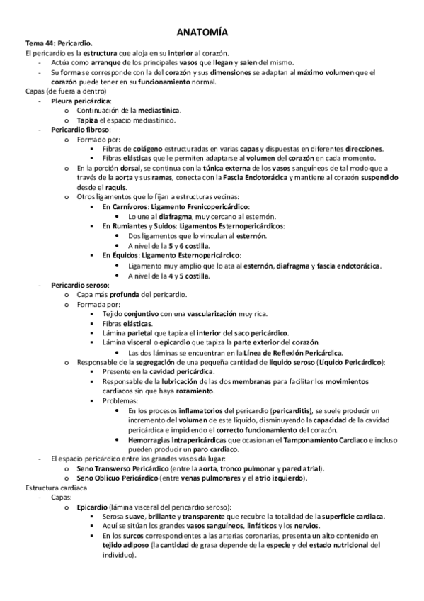 Miniatura del documento Anatomia.pdf