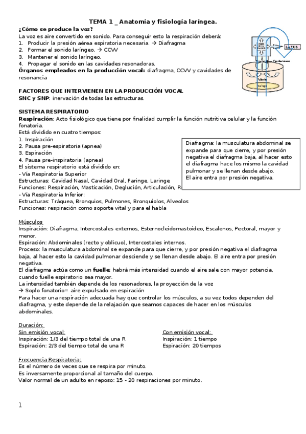 Miniatura del documento APUNTES-VOZAUDICION.docx