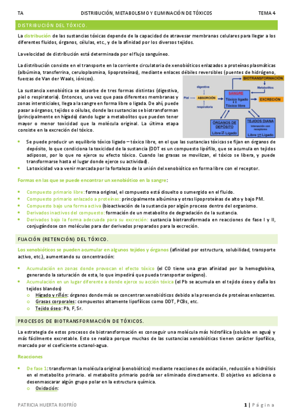 Miniatura del documento T4.pdf