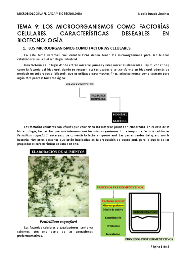 Miniatura del documento TEMA-9.pdf