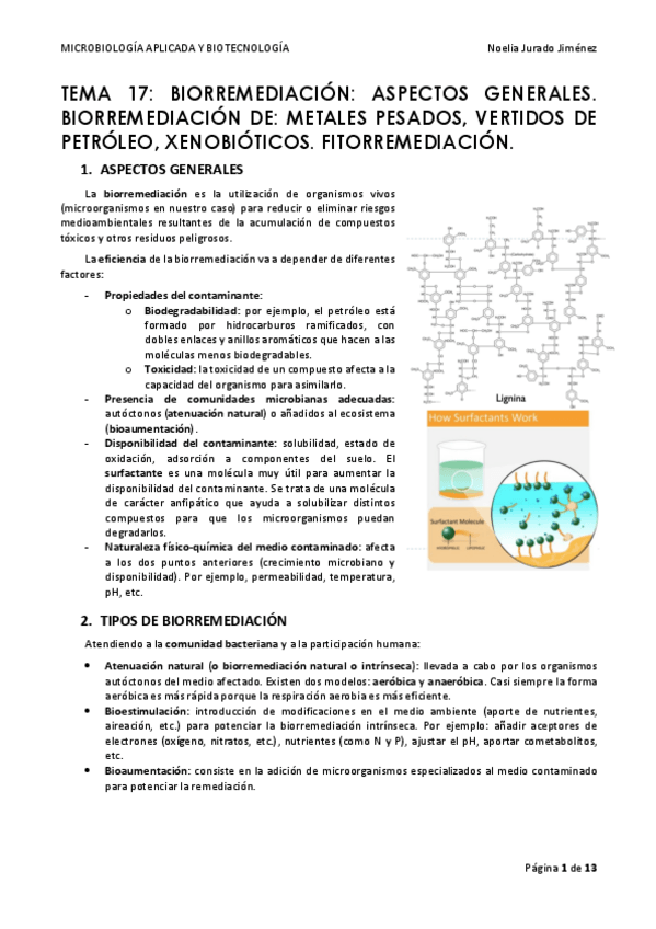 Miniatura del documento TEMA-17.pdf