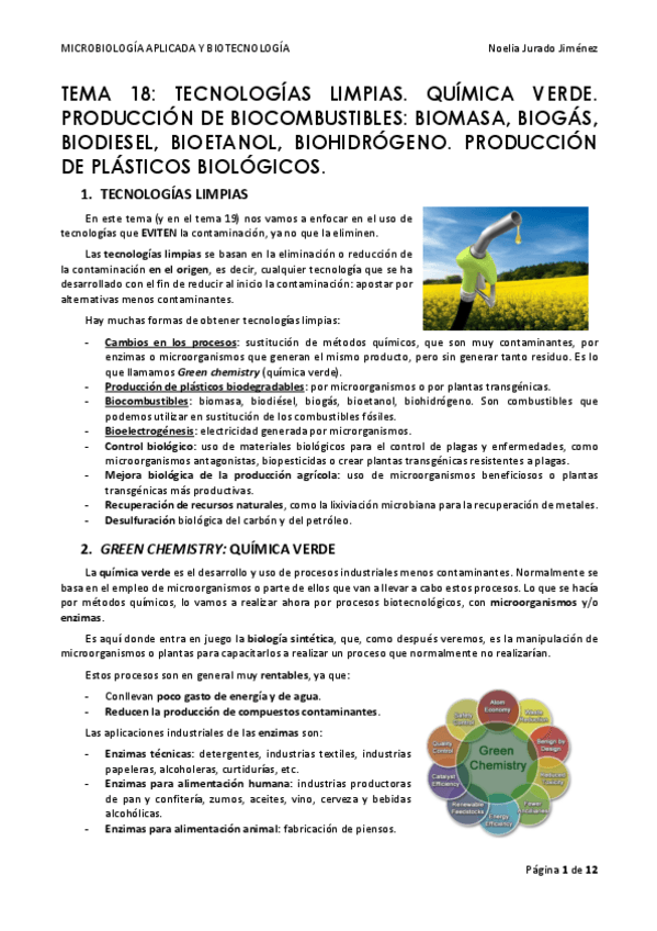 Miniatura del documento TEMA-18.pdf