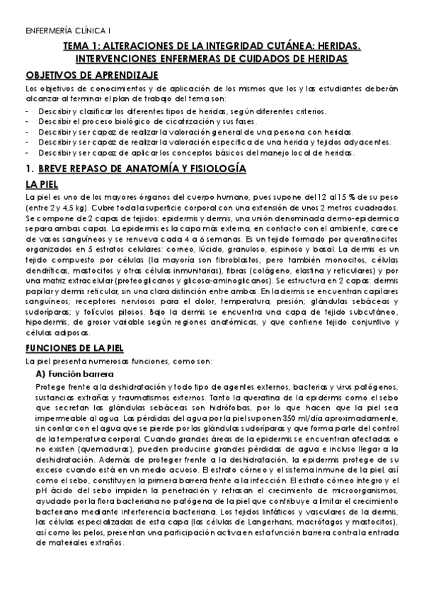 Miniatura del documento TEMA-1.pdf