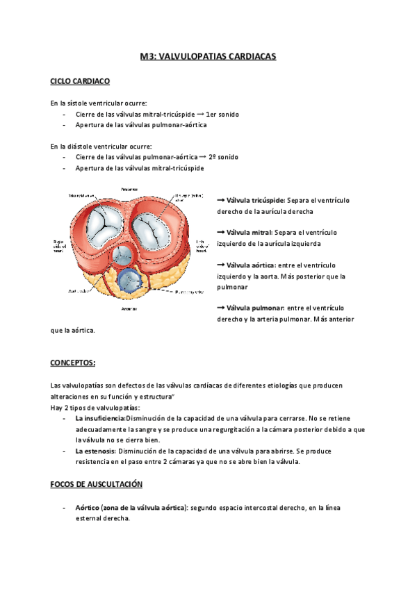 Miniatura del documento M3-VALVULOPATIAS-CARDIACAS.pdf