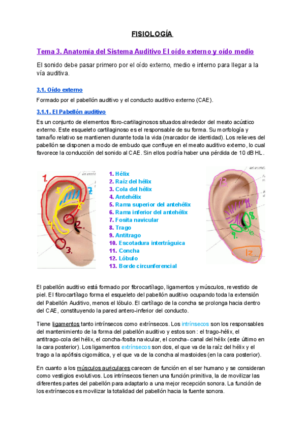 Miniatura del documento 3-FISIOLOGIA.pdf