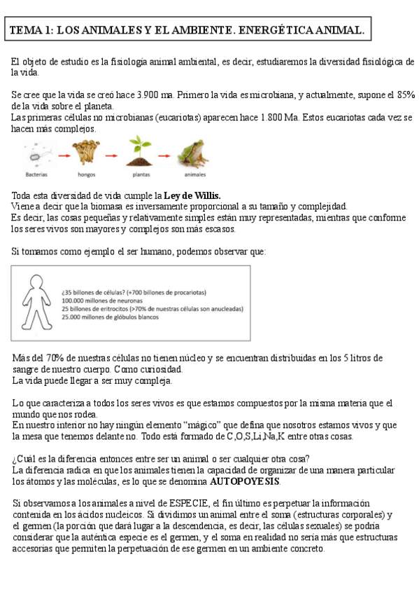 Miniatura del documento Tema-1.pdf