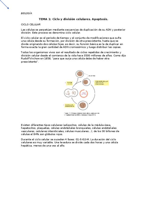 Miniatura del documento apuntes-bio.pdf
