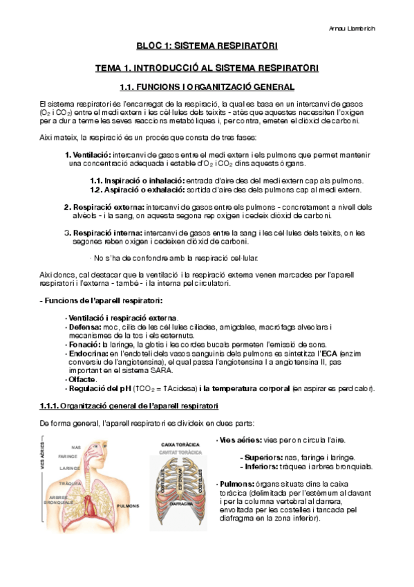 Miniatura del documento Apunts-Fisiologia-i-Fisiopatologia-III-Tema-1.pdf