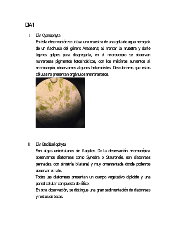 Miniatura del documento practicas-botanica.pdf