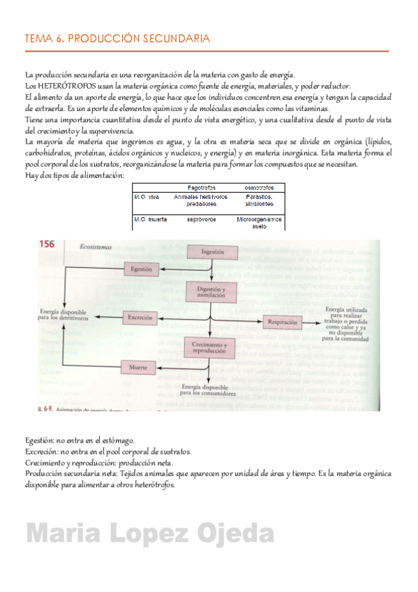 Miniatura del documento TEMA 6.pdf