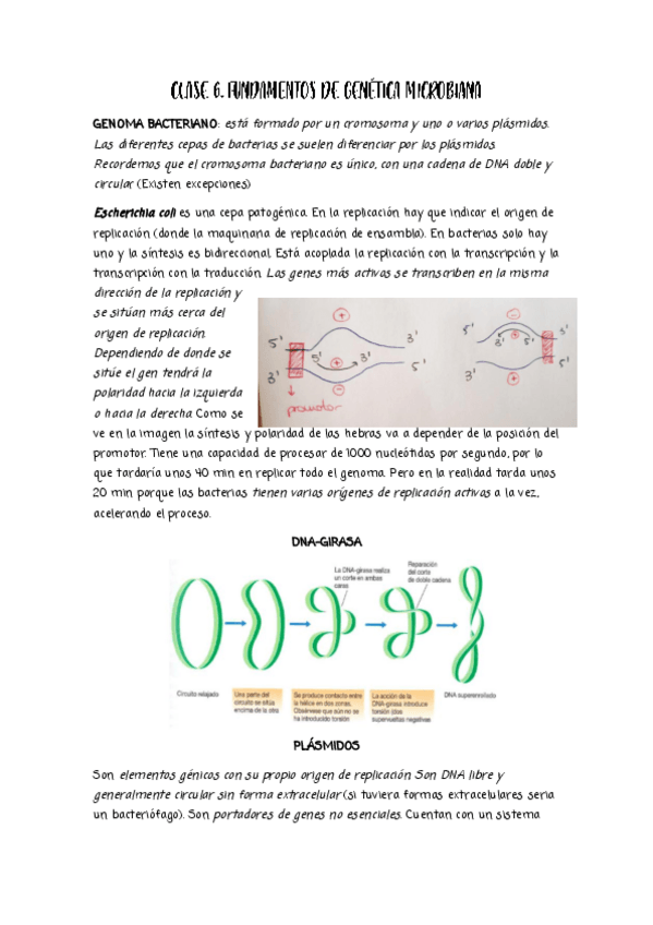 Miniatura del documento CLASE-6.pdf