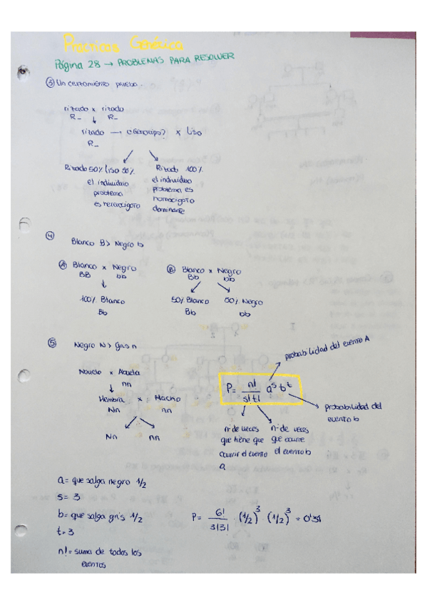 Miniatura del documento images.pdf