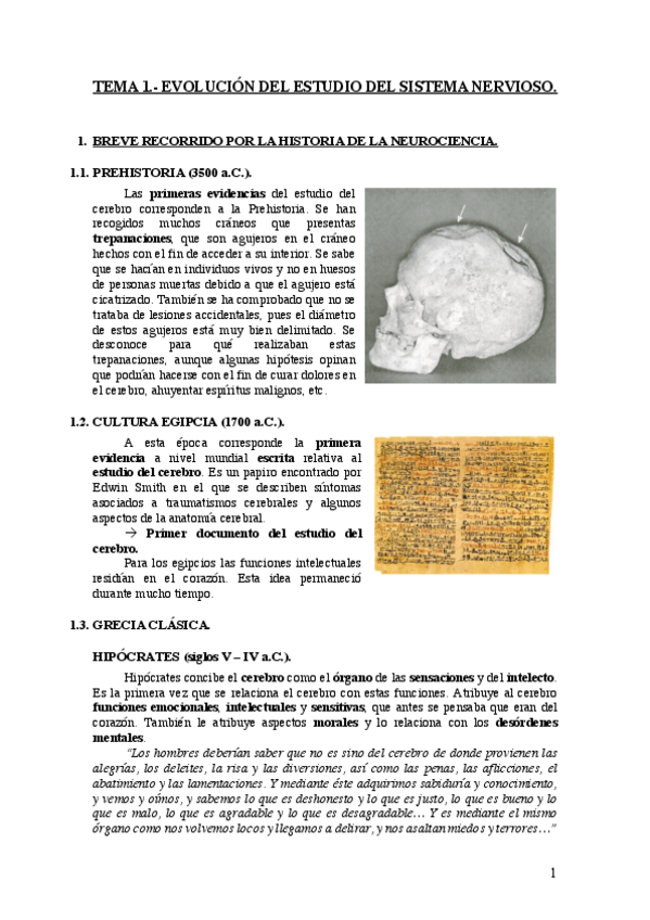Miniatura del documento TEMA-1.pdf