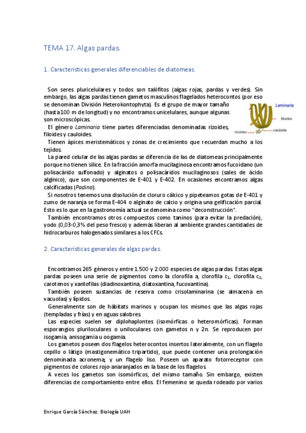 Miniatura del documento TEMA-17.pdf