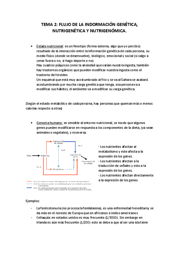 Miniatura del documento Tema-2-apuntes.pdf
