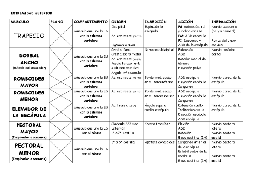 Miniatura del documento EXTREMIDAD SUPERIOR CUADRO RESUMEN.pdf