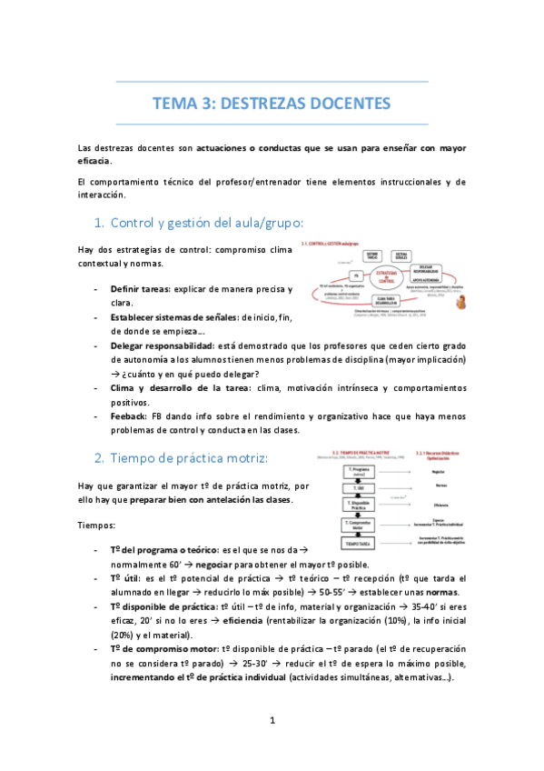 Miniatura del documento TEMA-3-DESTREZAS-DOCENTES.pdf