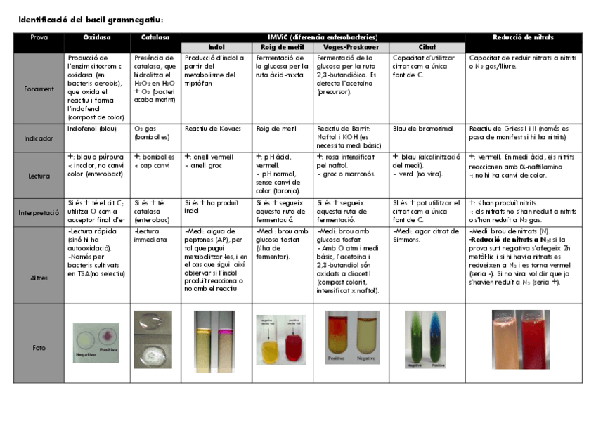 Miniatura del documento Taula-resum-practiques.pdf