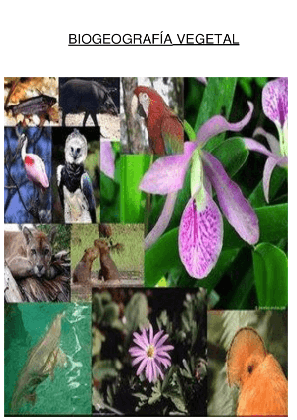 Miniatura del documento BIOGEOGRAFIA-VEGETAL.pdf