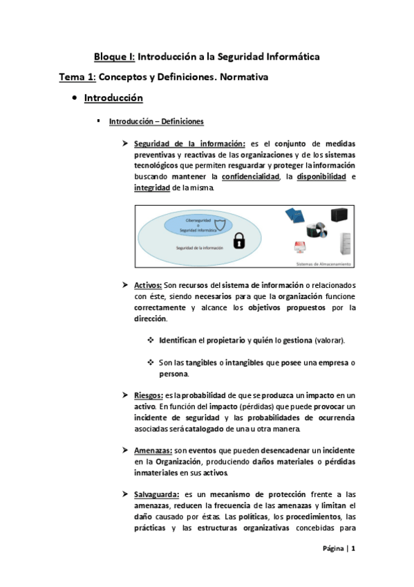 Miniatura del documento Tema-1-Seguridad-Informatica.pdf