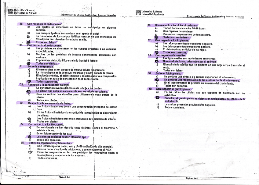 Miniatura del documento Examen-1.jpg