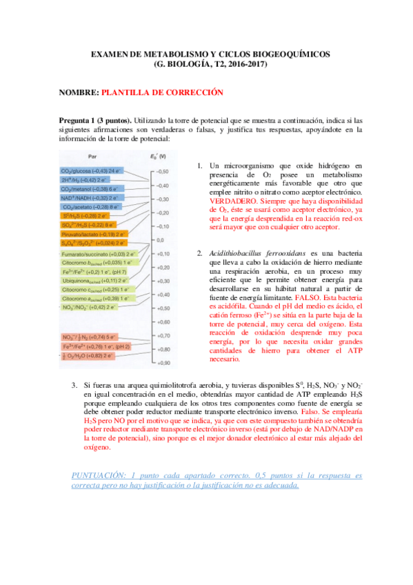 Miniatura del documento EXAMEN-DE-METABOLISMO-con-respuestas.pdf