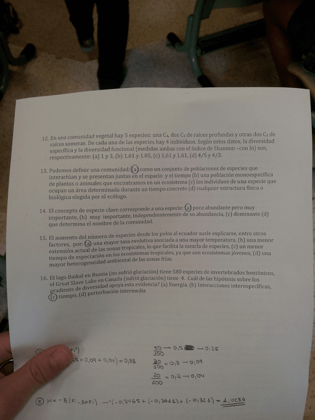 Miniatura del documento SEPT12.jpg