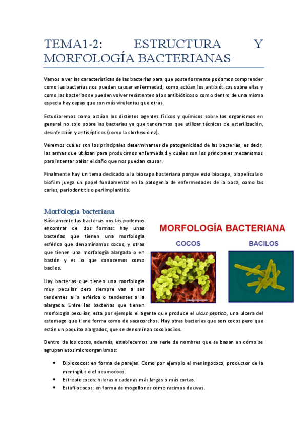 Miniatura del documento Tema 1-2 estructura y morfologia bacteriana.pdf